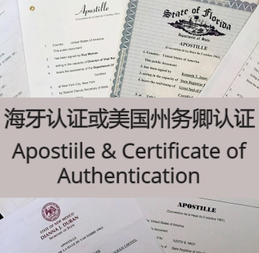 美国办理附加证明书 Apostille