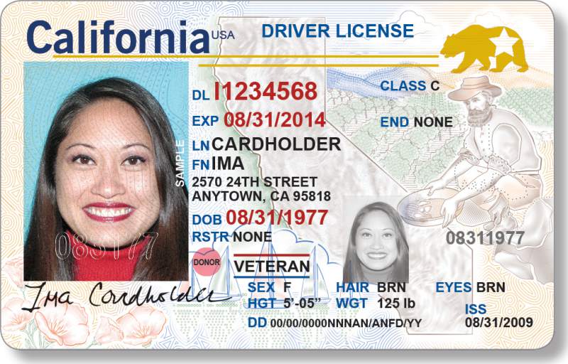 âUS Driver Licenseâçå¾çæç´¢ç»æ