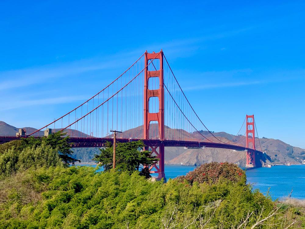 旧金山中国签证委托办理（成人）San Francisco Chinese Visa