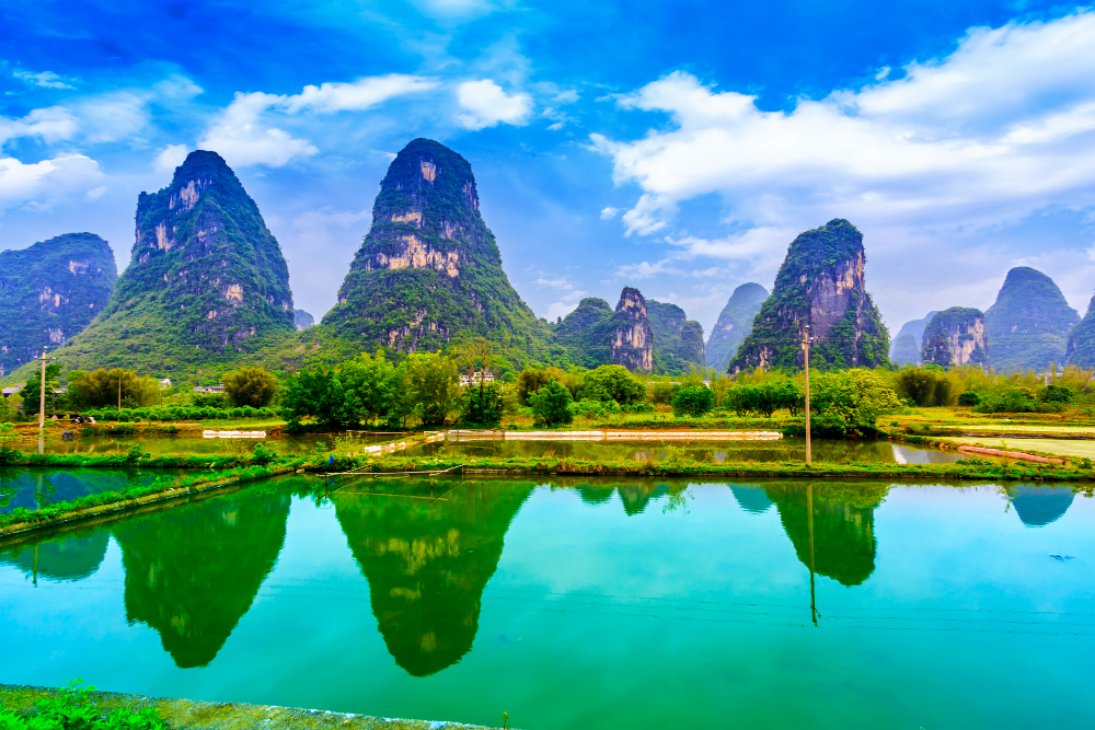 (G) Transit 经中国过境签证美国办理中国签证 Chinese Visa